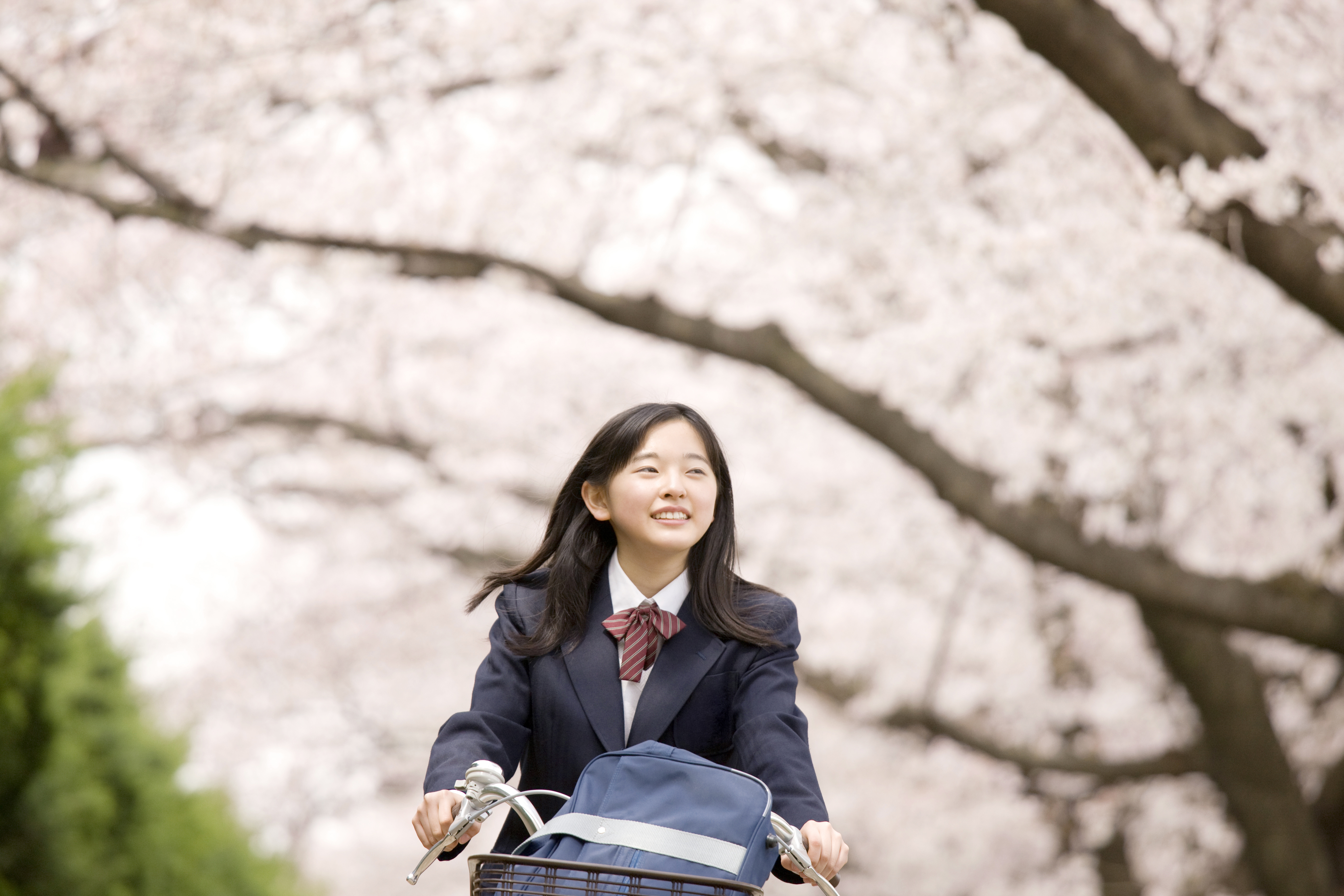 サイクル安心保険のご加入 補償内容に関するよくあるお問い合わせ 年齢制限のない自転車保険 サイクル安心保険 全日本交通安全協会 損保ジャパン